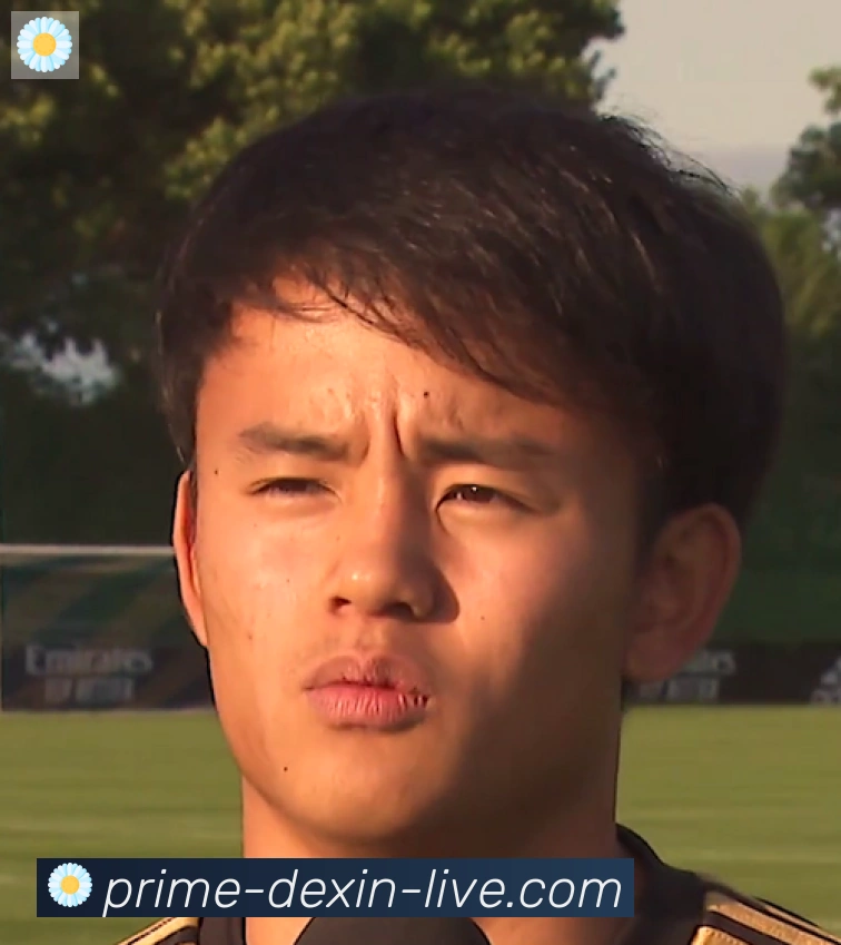 维尼修斯